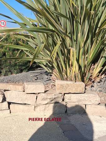 Photo de l'actualit PIERRE EYZAHUT 