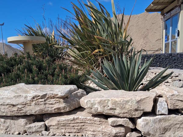 Photo de la news NOS ENROCHEMENTS EN PIERRE D EYZAHUT A L HONNEUR