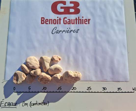 Image du produit Galet Rose de Vrone Marbre 25-40