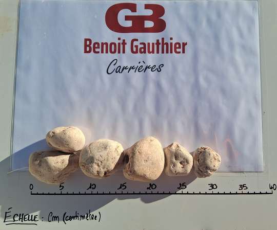 Image du produit Galets Rose de Verone Marbre 40-60